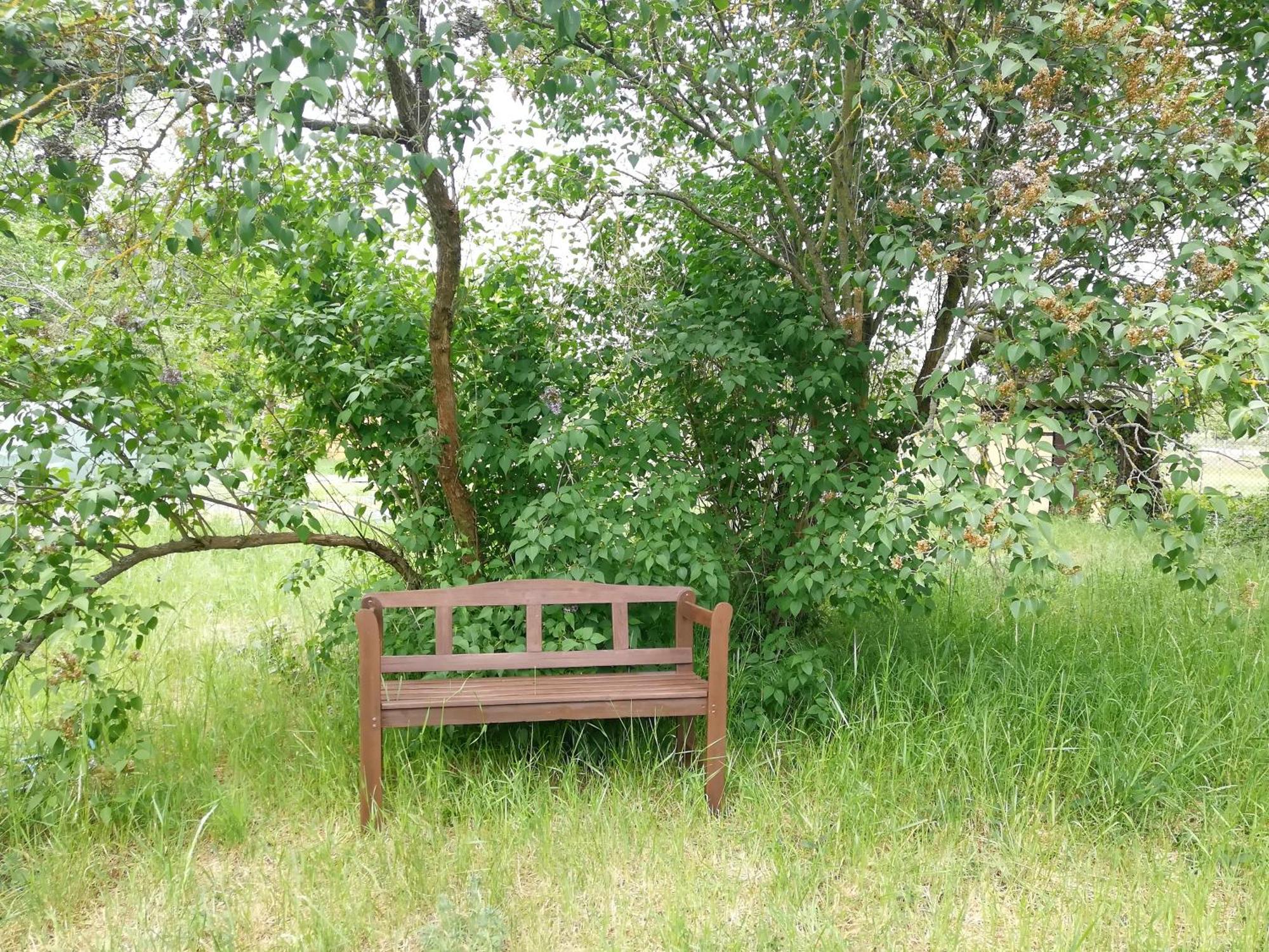 Ehemalige Bibliothek Apartment Fuer 2 Mit Kueche Kamin Netflix Parken Und Hofladen Steinhofel Zewnętrze zdjęcie